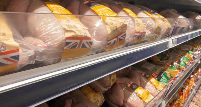 Government to consult on meat and dairy labelling